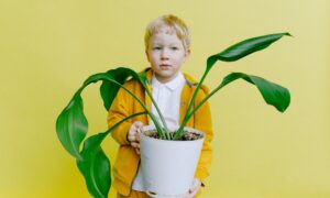 young boy in jacket holding white flower pot