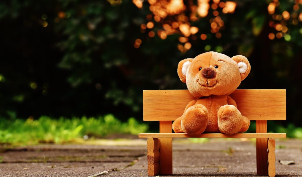 brown teddy bear on brown wooden bench outside