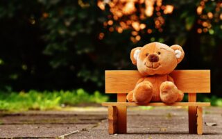 brown teddy bear on brown wooden bench outside